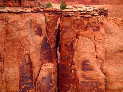 [Portion of rock wearing away (looks like a window in the rock) which would probably create a 'coke oven' in the future. A tree grows right at the top of the crack leading to the window.]